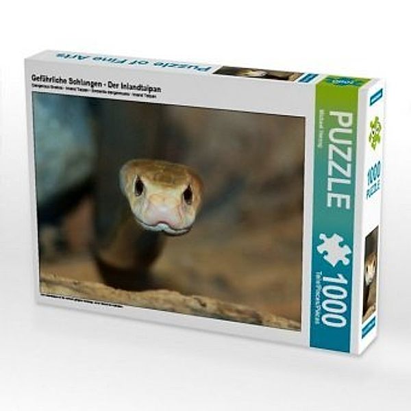 CALVENDO Puzzle Gefährliche Schlangen - Der Inlandtaipan 1000 Teile Lege-Größe 64 x 48 cm Foto-Puzzle Bild von Michael H, Calvendo