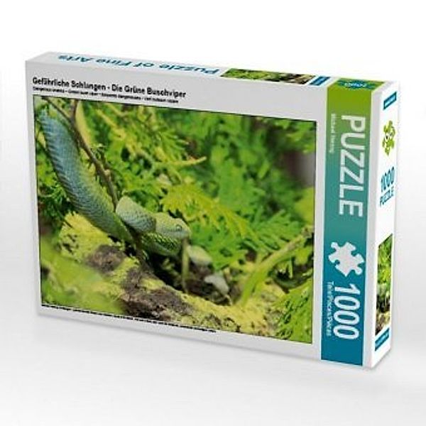 CALVENDO Puzzle Gefährliche Schlangen - Die Grüne Buschviper 1000 Teile Lege-Größe 64 x 48 cm Foto-Puzzle Bild von Micha, Calvendo