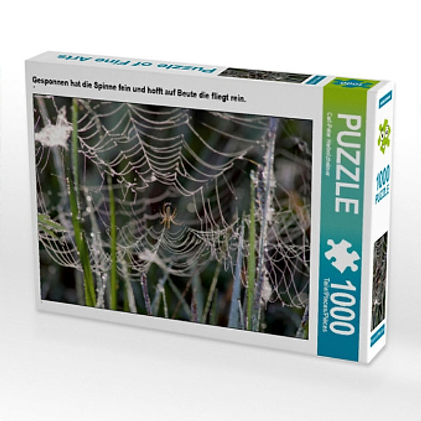 CALVENDO Puzzle Gesponnen hat die Spinne fein und hofft auf Beute die fliegt rein. 1000 Teile Lege-Größe 64 x 48 cm Foto, Calvendo