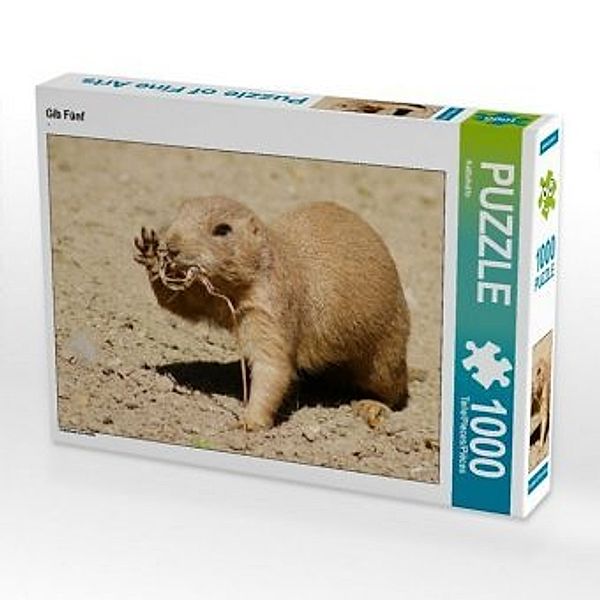 CALVENDO Puzzle Gib Fünf 1000 Teile Lege-Größe 64 x 48 cm Foto-Puzzle Bild von Kattobello, Calvendo