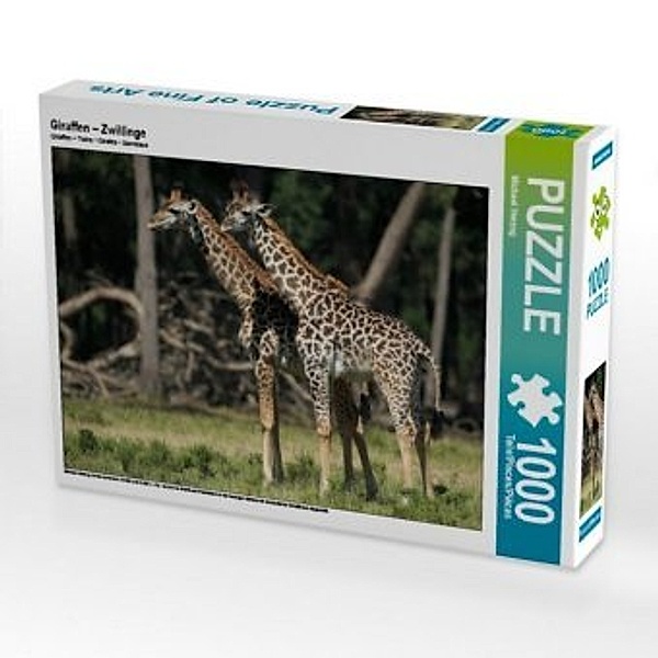 CALVENDO Puzzle Giraffen - Zwillinge 1000 Teile Lege-Größe 64 x 48 cm Foto-Puzzle Bild von Michael Herzog, Calvendo