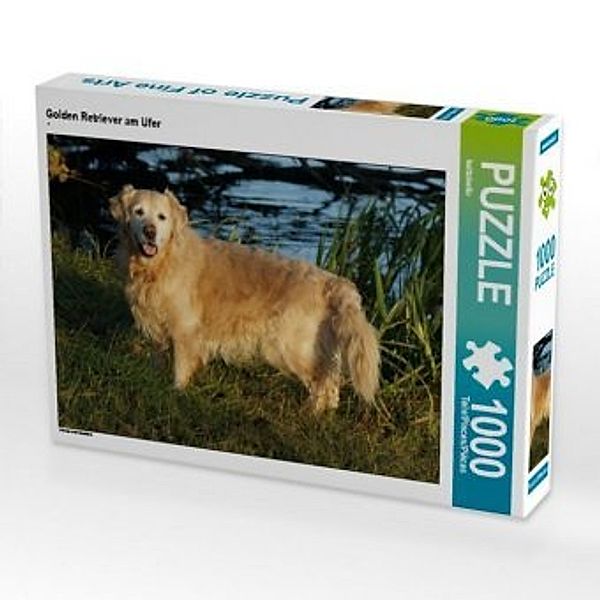 CALVENDO Puzzle Golden Retriever am Ufer 1000 Teile Lege-Größe 64 x 48 cm Foto-Puzzle Bild von kattobello, Calvendo