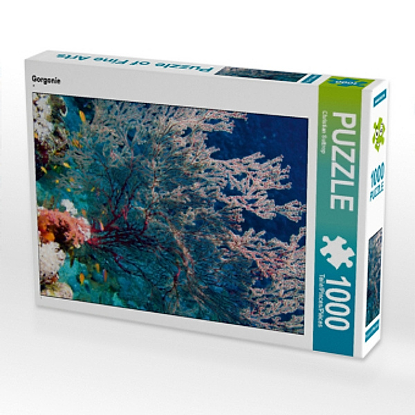 CALVENDO Puzzle Gorgonie 1000 Teile Lege-Größe 64 x 48 cm Foto-Puzzle Bild von Christian Suttrop, Calvendo