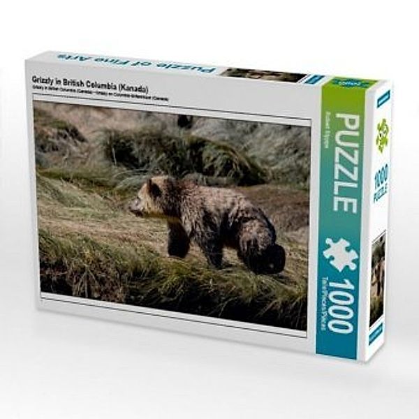CALVENDO Puzzle Grizzly in British Columbia (Kanada) 1000 Teile Lege-Größe 64 x 48 cm Foto-Puzzle Bild von Robert Styppa, Calvendo