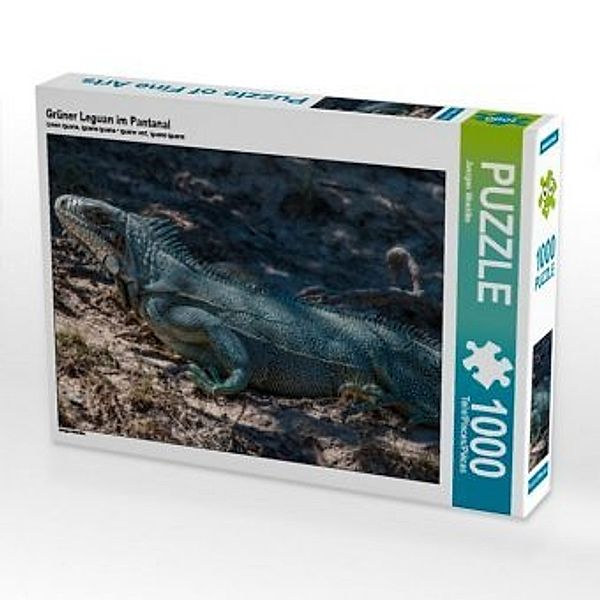 CALVENDO Puzzle Grüner Leguan im Pantanal 1000 Teile Lege-Größe 64 x 48 cm Foto-Puzzle Bild von Juergen Woehlke, Calvendo