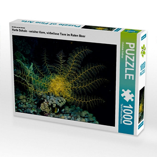 CALVENDO Puzzle Harte Schale - weicher Kern, wirbellose Tiere im Roten Meer 1000 Teile Lege-Größe 64 x 48 cm Foto-Puzzle, Calvendo