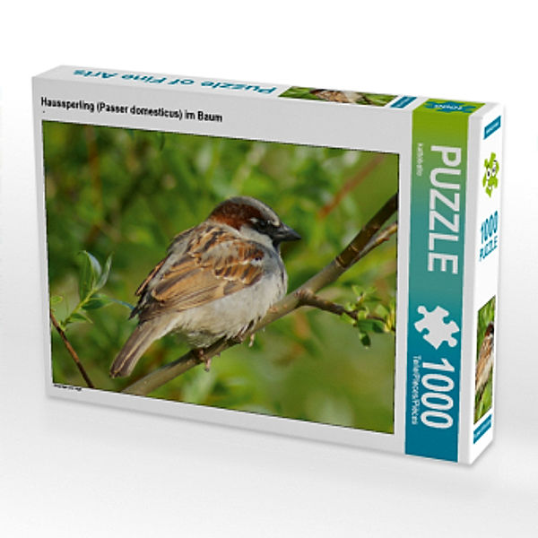 CALVENDO Puzzle Haussperling (Passer domesticus) im Baum 1000 Teile Lege-Größe 64 x 48 cm Foto-Puzzle Bild von kattobell, Calvendo