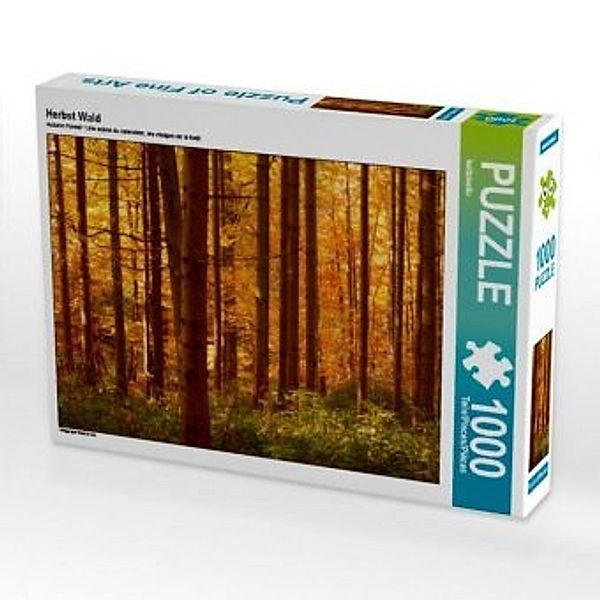 CALVENDO Puzzle Herbst Wald 1000 Teile Lege-Größe 64 x 48 cm Foto-Puzzle Bild von kattobello, Calvendo