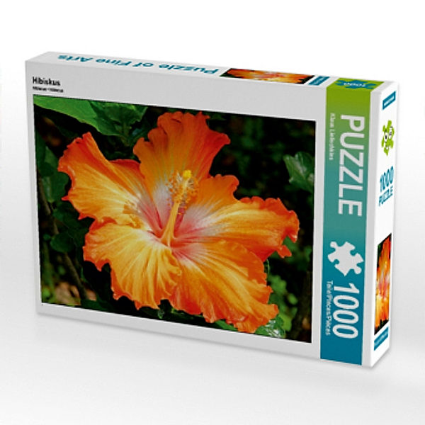 CALVENDO Puzzle Hibiskus 1000 Teile Lege-Größe 64 x 48 cm Foto-Puzzle Bild von Klaus Lielischkies, Calvendo