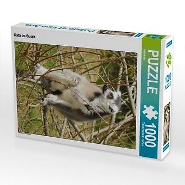 CALVENDO Puzzle Katta im Busch 1000 Teile Lege-Größe 48 x 64 cm Foto-Puzzle Bild von kattobello, Calvendo