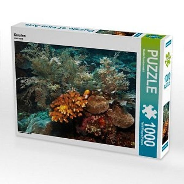 CALVENDO Puzzle Korallen 1000 Teile Lege-Größe 64 x 48 cm Foto-Puzzle Bild von Martin Rauchenwald, Calvendo