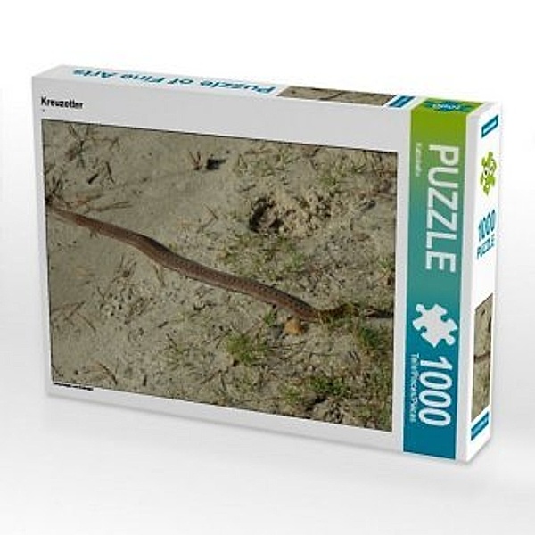 CALVENDO Puzzle Kreuzotter 1000 Teile Lege-Größe 64 x 48 cm Foto-Puzzle Bild von Kattobello, Calvendo