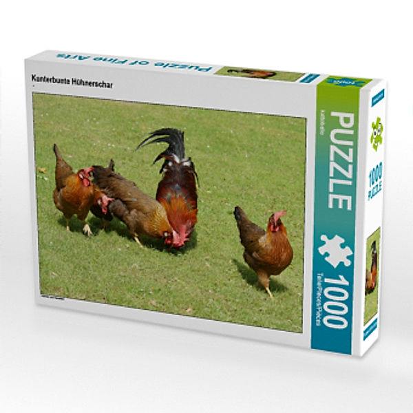CALVENDO Puzzle Kunterbunte Hühnerschar 1000 Teile Lege-Größe 64 x 48 cm Foto-Puzzle Bild von kattobello, Calvendo