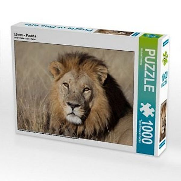 CALVENDO Puzzle Löwen - Pascha 1000 Teile Lege-Größe 64 x 48 cm Foto-Puzzle Bild von Michael Herzog, Calvendo