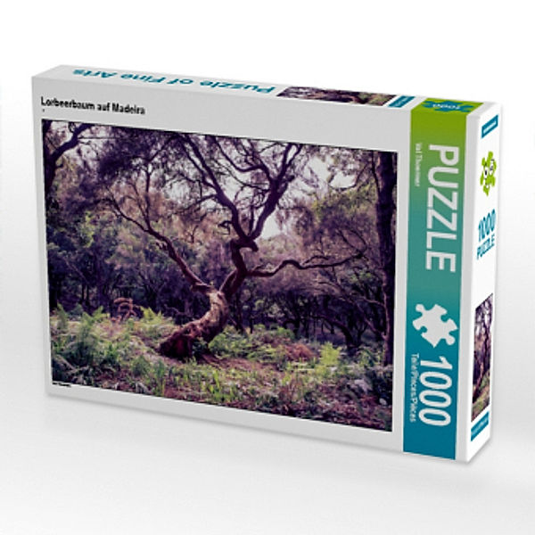 CALVENDO Puzzle Lorbeerbaum auf Madeira 1000 Teile Lege-Größe 64 x 48 cm Foto-Puzzle Bild von Val Thoermer, Calvendo