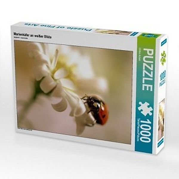 CALVENDO Puzzle Marienkäfer an weißer Blüte 1000 Teile Lege-Größe 64 x 48 cm Foto-Puzzle Bild von Ulrike Adam, Calvendo