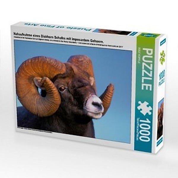 CALVENDO Puzzle Nahaufnahme eines Dickhorn Schafes mit imposantem Gehoern. 1000 Teile Lege-Größe 64 x 48 cm Foto-Puzzle, Calvendo