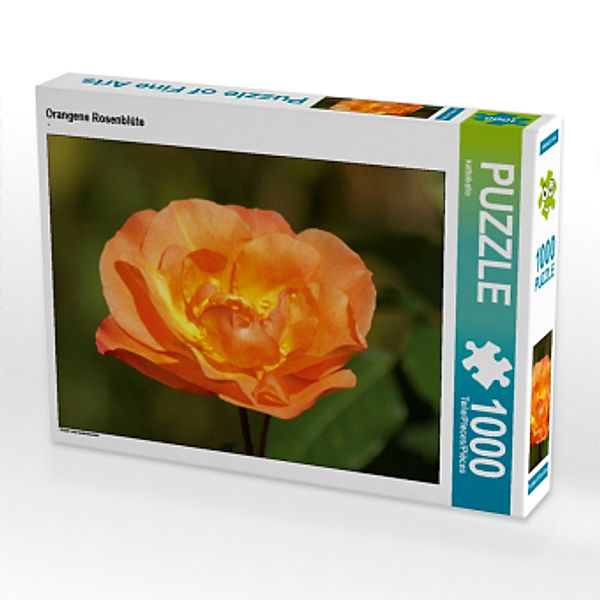 CALVENDO Puzzle Orangene Rosenblüte 1000 Teile Lege-Größe 64 x 48 cm Foto-Puzzle Bild von kattobello, Calvendo