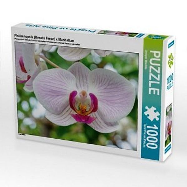 CALVENDO Puzzle Phalaenopsis (Renate Frese) x Manhattan 1000 Teile Lege-Größe 64 x 48 cm Foto-Puzzle Bild von Juergen Wo, Calvendo