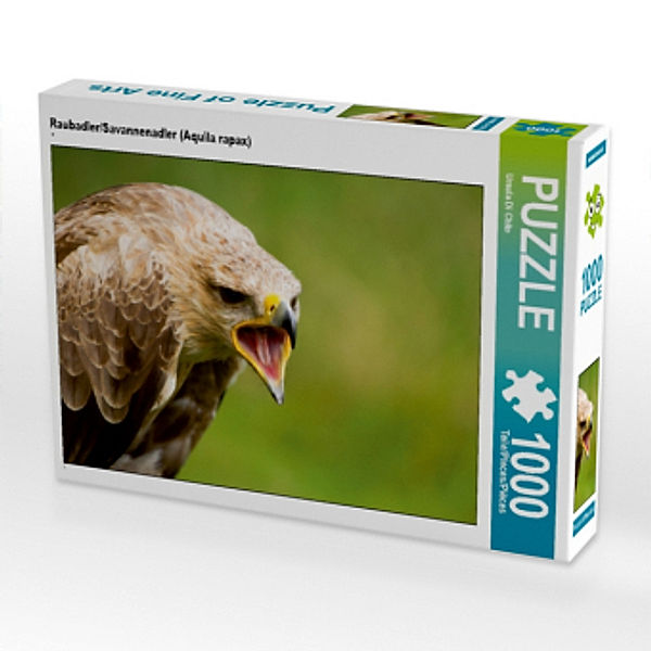 CALVENDO Puzzle Raubadler/Savannenadler (Aquila rapax) 1000 Teile Lege-Größe 64 x 48 cm Foto-Puzzle Bild von Ursula Di C, Calvendo