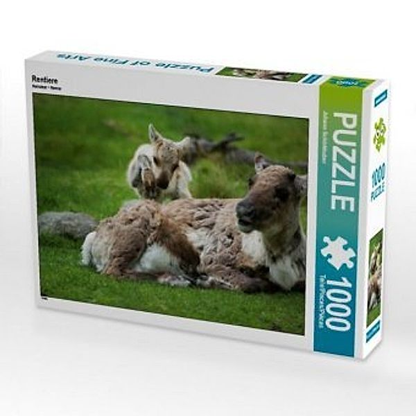 CALVENDO Puzzle Rentiere 1000 Teile Lege-Größe 64 x 48 cm Foto-Puzzle Bild von Johann Schörkhuber, Calvendo