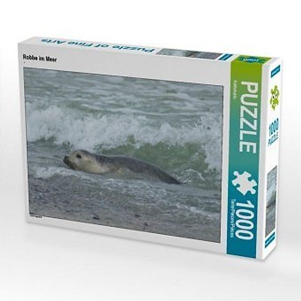 CALVENDO Puzzle Robbe im Meer 1000 Teile Lege-Größe 64 x 48 cm Foto-Puzzle Bild von Kattobello, Calvendo