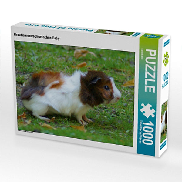 CALVENDO Puzzle Rosettenmeerschweinchen Baby 1000 Teile Lege-Größe 64 x 48 cm Foto-Puzzle Bild von kattobello, Calvendo