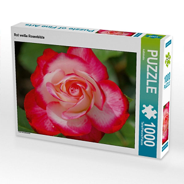 CALVENDO Puzzle Rot weiße Rosenblüte 1000 Teile Lege-Größe 64 x 48 cm Foto-Puzzle Bild von kattobello, Calvendo