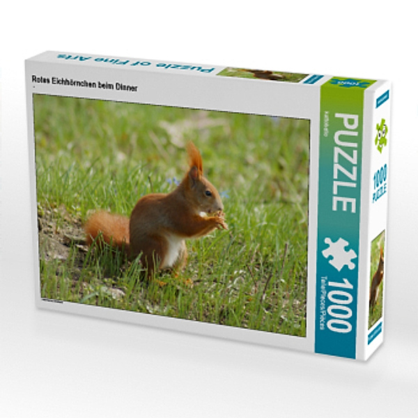 CALVENDO Puzzle Rotes Eichhörnchen beim Dinner 1000 Teile Lege-Größe 64 x 48 cm Foto-Puzzle Bild von kattobello, Calvendo