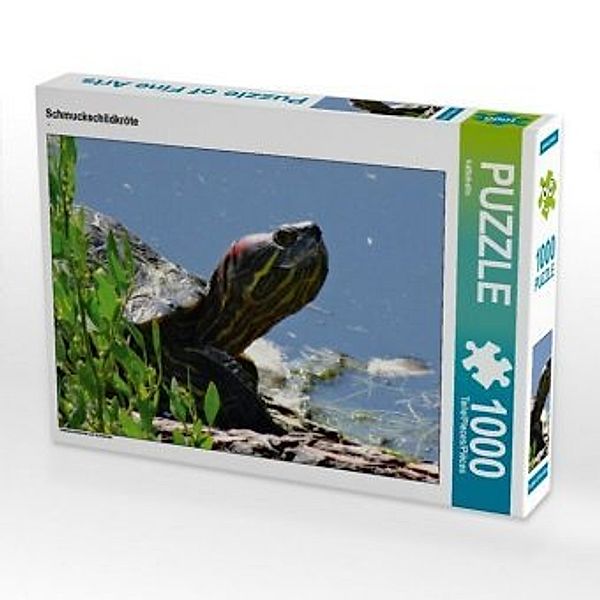 CALVENDO Puzzle Schmuckschildkröte 1000 Teile Lege-Größe 64 x 48 cm Foto-Puzzle Bild von kattobello, Calvendo