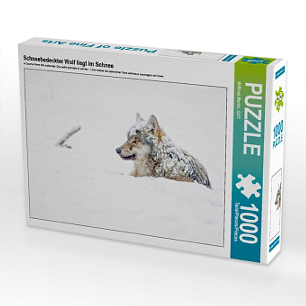CALVENDO Puzzle Schneebedeckter Wolf liegt im Schnee 1000 Teile Lege-Größe 64 x 48 cm Foto-Puzzle Bild von Wilfried Mart, Calvendo