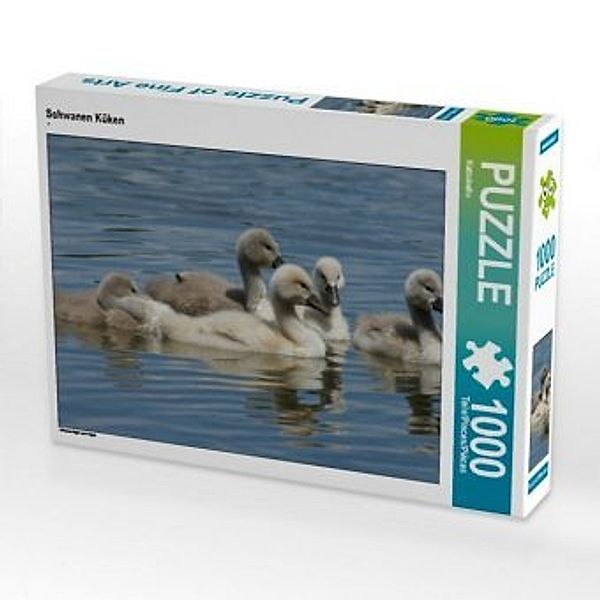 CALVENDO Puzzle Schwanen Küken 1000 Teile Lege-Größe 64 x 48 cm Foto-Puzzle Bild von Kattobello, Calvendo