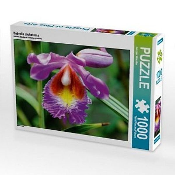 CALVENDO Puzzle Sobralia dichotoma 1000 Teile Lege-Größe 64 x 48 cm Foto-Puzzle Bild von Juergen Woehlke, Calvendo