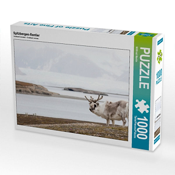 CALVENDO Puzzle Spitzbergen-Rentier 1000 Teile Lege-Größe 64 x 48 cm Foto-Puzzle Bild von Wilfried Martin, Calvendo