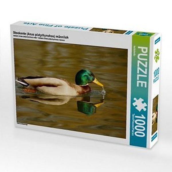 CALVENDO Puzzle Stockente (Anas platyrhynchos) männlich 1000 Teile Lege-Größe 64 x 48 cm Foto-Puzzle Bild von kattobello, Calvendo