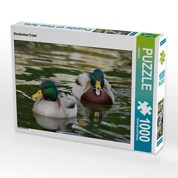 CALVENDO Puzzle Stockenten Erpel 1000 Teile Lege-Größe 64 x 48 cm Foto-Puzzle Bild von Kattobello, Calvendo