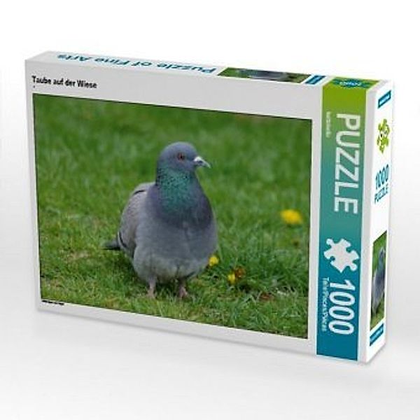 CALVENDO Puzzle Taube auf der Wiese 1000 Teile Lege-Größe 64 x 48 cm Foto-Puzzle Bild von kattobello, Calvendo