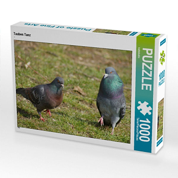 CALVENDO Puzzle Tauben Tanz 1000 Teile Lege-Größe 64 x 48 cm Foto-Puzzle Bild von kattobello, Calvendo