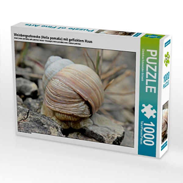 CALVENDO Puzzle Weinbergschnecke (Helix pomatia) mit geflicktem Haus 1000 Teile Lege-Größe 64 x 48 cm Foto-Puzzle Bild v, Calvendo