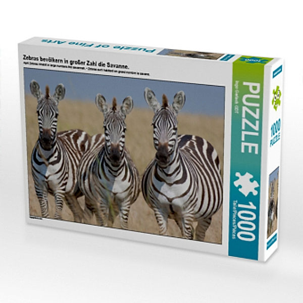 CALVENDO Puzzle Zebras bevölkern in großer Zahl die Savanne. 1000 Teile Lege-Größe 64 x 48 cm Foto-Puzzle Bild von Ingo, Calvendo