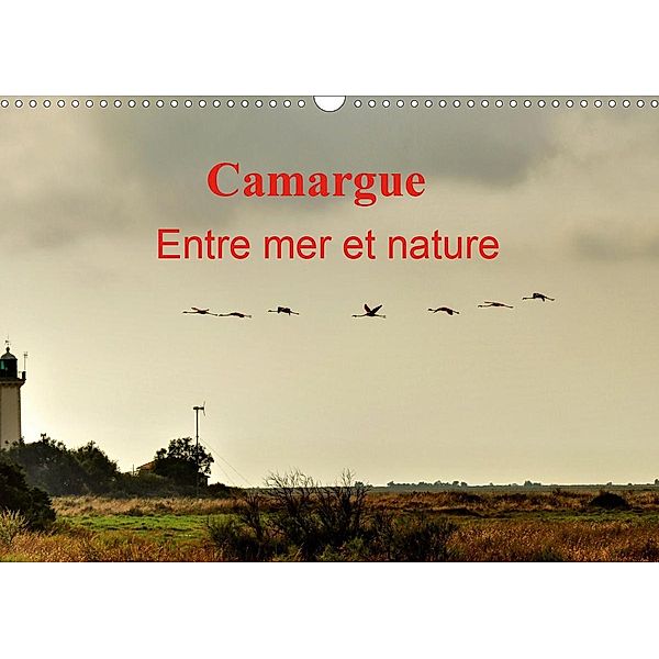 Camargue Entre mer et nature (Calendrier mural 2021 DIN A3 horizontal), Didier Sibourg