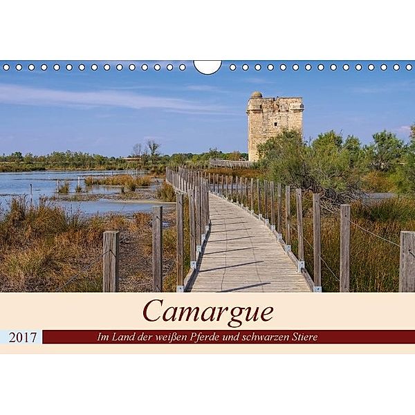 Camargue - Im Land der weißen Pferde und schwarzen Stiere (Wandkalender 2017 DIN A4 quer), LianeM