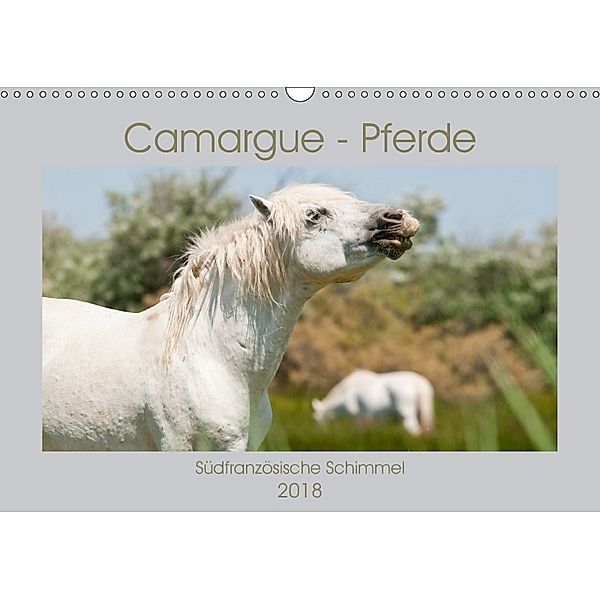 Camargue-Pferde - Südfranzösische Schimmel (Wandkalender 2018 DIN A3 quer), Meike Bölts