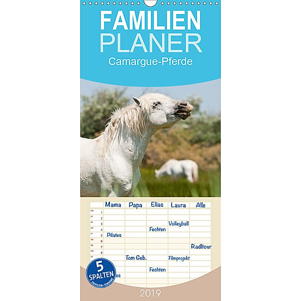 Camargue-Pferde - Südfranzösische Schimmel - Familienplaner hoch (Wandkalender 2019 , 21 cm x 45 cm, hoch), Meike Bölts