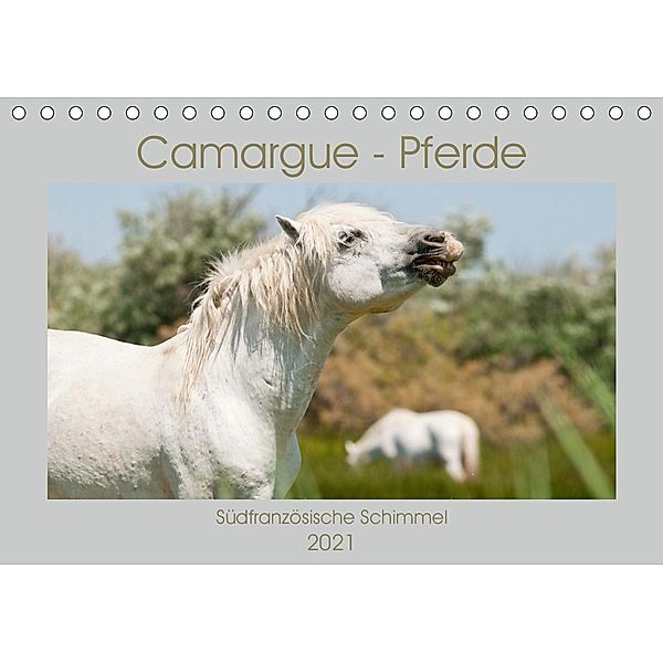 Camargue-Pferde - Südfranzösische Schimmel (Tischkalender 2021 DIN A5 quer), Meike Bölts