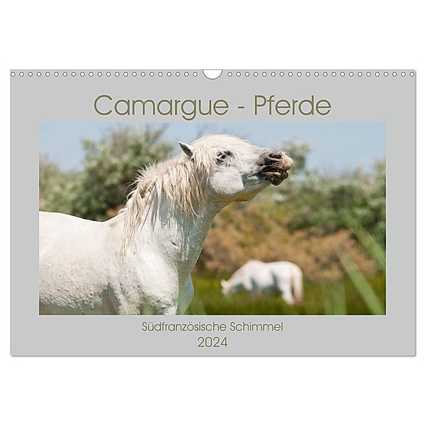 Camargue-Pferde - Südfranzösische Schimmel (Wandkalender 2024 DIN A3 quer), CALVENDO Monatskalender, Meike Bölts