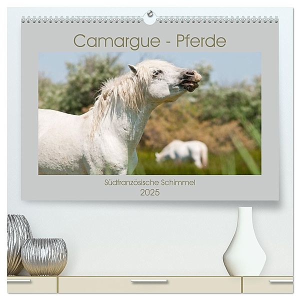 Camargue-Pferde - Südfranzösische Schimmel (hochwertiger Premium Wandkalender 2025 DIN A2 quer), Kunstdruck in Hochglanz, Calvendo, Meike Bölts