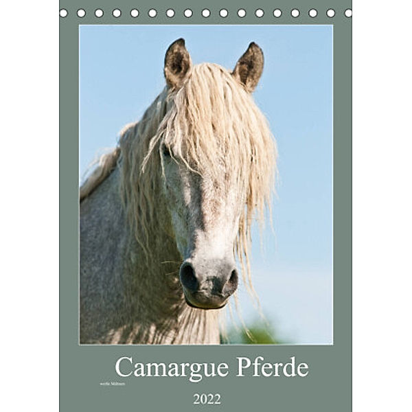 Camargue Pferde - weiße Mähnen (Tischkalender 2022 DIN A5 hoch), Meike Bölts