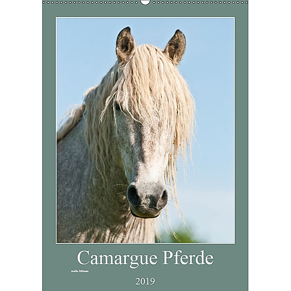 Camargue Pferde - weiße Mähnen (Wandkalender 2019 DIN A2 hoch), Meike Bölts