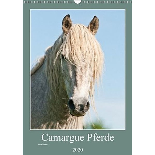 Camargue Pferde - weiße Mähnen (Wandkalender 2020 DIN A3 hoch), Meike Bölts